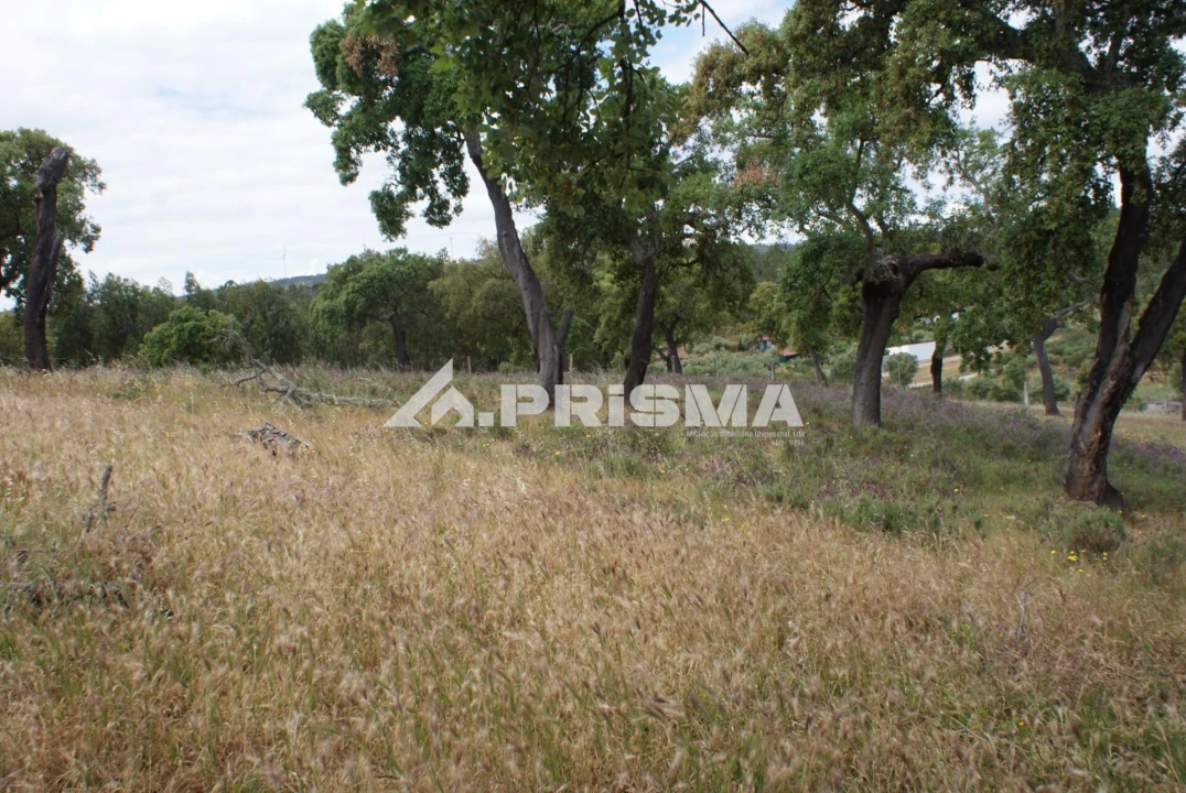 Terreno para Venda em Benquerenças Foto 4