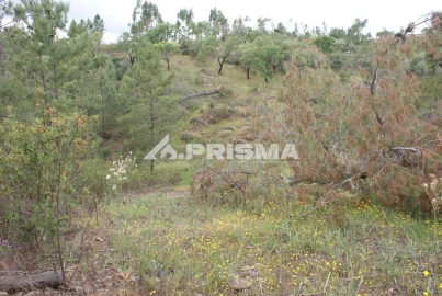 Terreno para Venda em Benquerenças