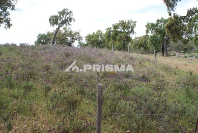 Terreno para Venda em Benquerenças