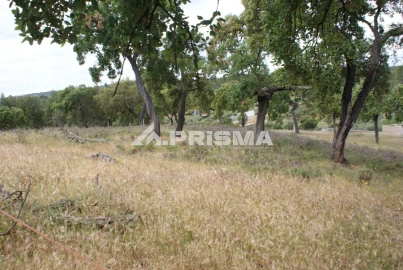 Terreno para Venda em Benquerenças