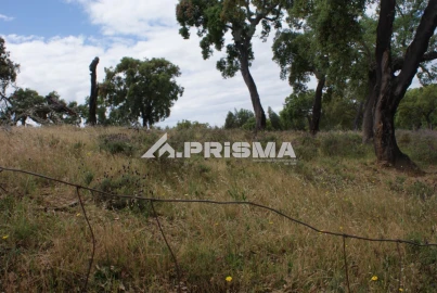 Terreno para Venda em Benquerenças