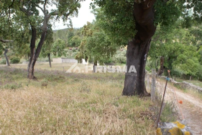 Terreno para Venda em Benquerenças