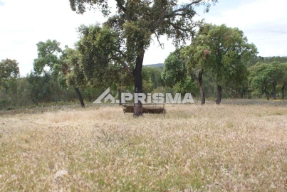 Terreno para Venda em Benquerenças