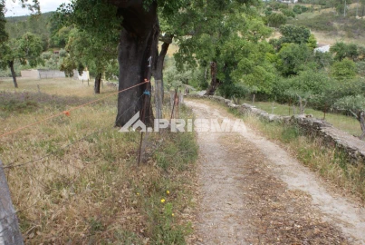 Terreno para Venda em Benquerenças