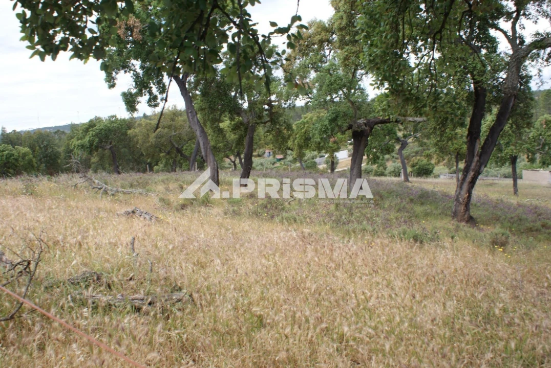 Terreno para Venda em Benquerenças Foto 5