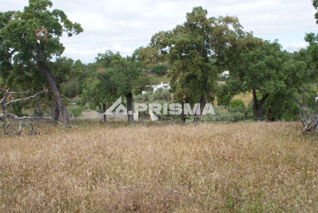 Terreno para Venda em Benquerenças Foto 9