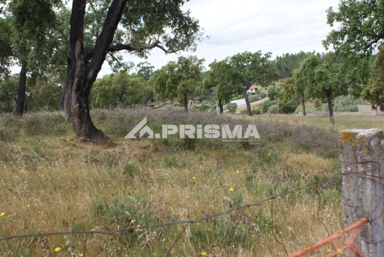 Terreno para Venda em Benquerenças Foto 2