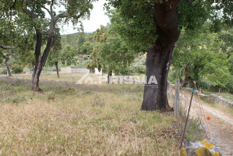 Terreno para Venda em Benquerenças Foto 6
