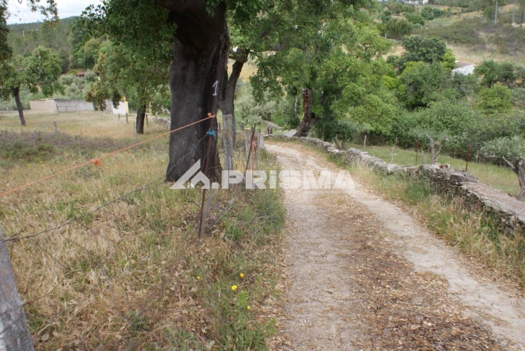 Terreno para Venda em Benquerenças Foto 7