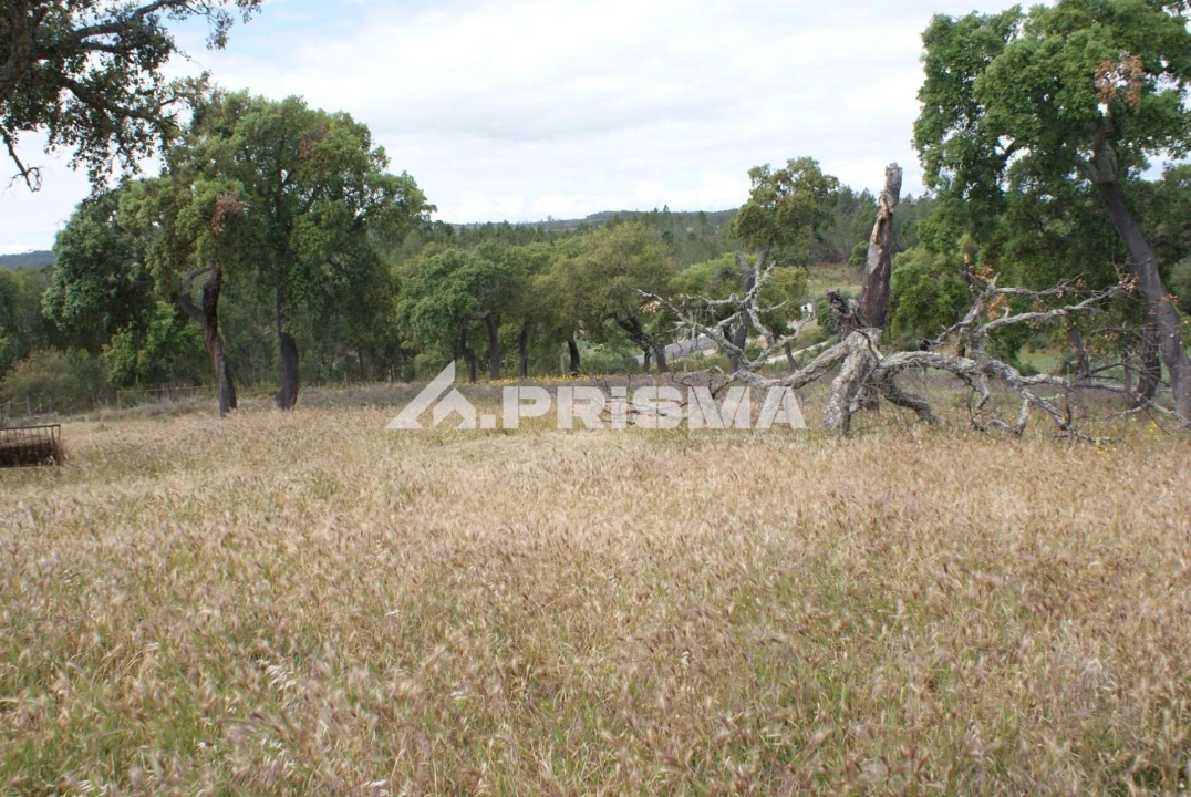 Terreno para Venda em Benquerenças Foto 8