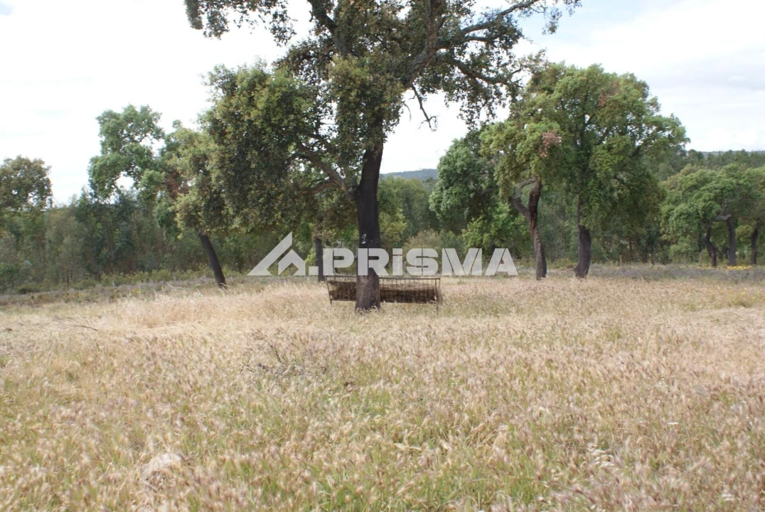 Terreno para Venda em Benquerenças Foto 10