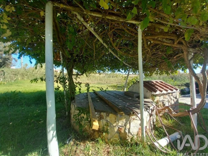 Quinta T3 para Venda em Boavista dos Pinheiros Foto 23