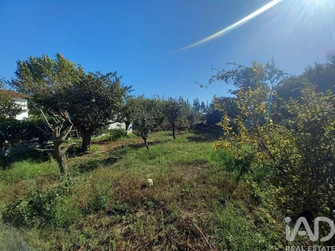 Quinta T3 para Venda em Boavista dos Pinheiros Foto 24