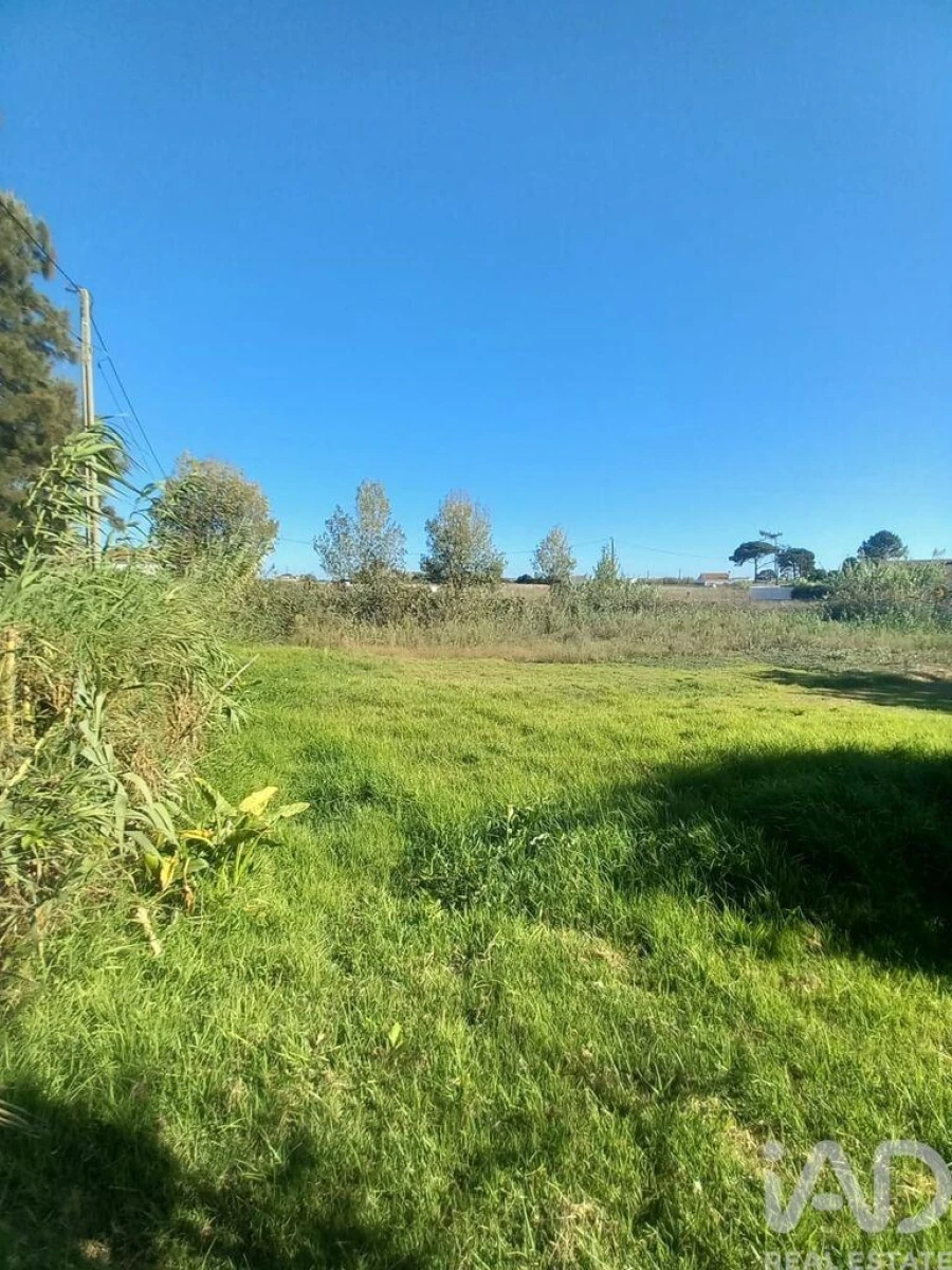 Quinta T3 para Venda em Boavista dos Pinheiros Foto 21
