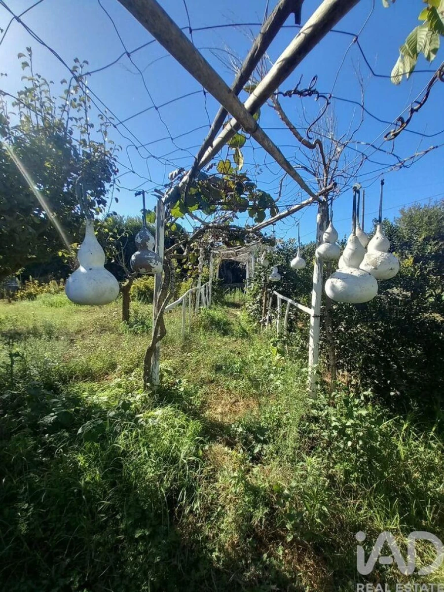 Quinta T3 para Venda em Boavista dos Pinheiros Foto 12