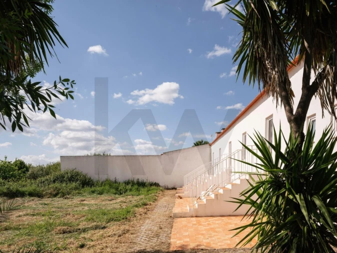 Quinta T6 para Venda em São Martinho Foto 28