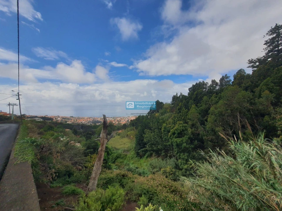 Terreno para Venda em Monte Foto 2