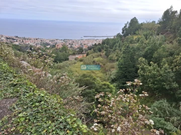 Terreno para Venda em Monte