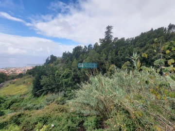 Terreno para Venda em Monte