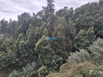 Terreno para Venda em Monte