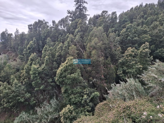 Terreno para Venda em Monte Foto 7