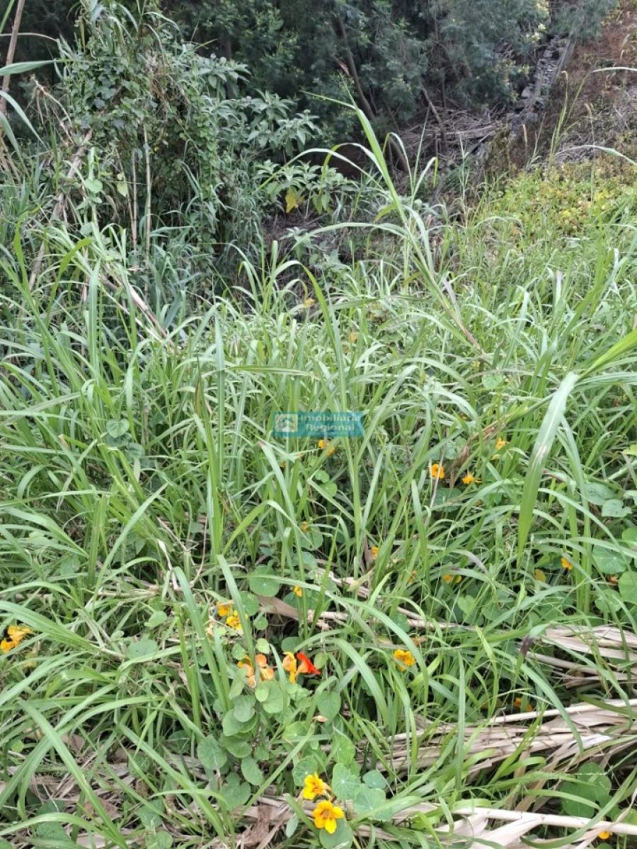 Terreno para Venda em Monte Foto 9