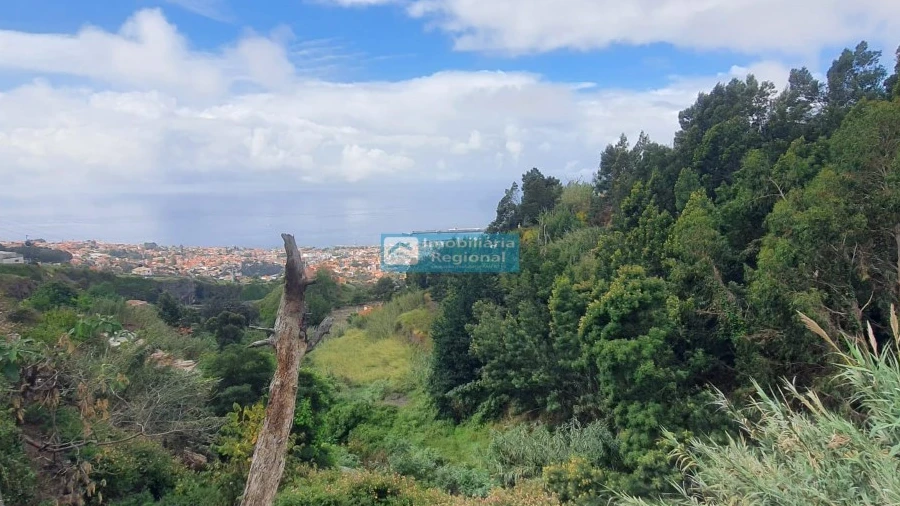 Terreno para Venda em Monte