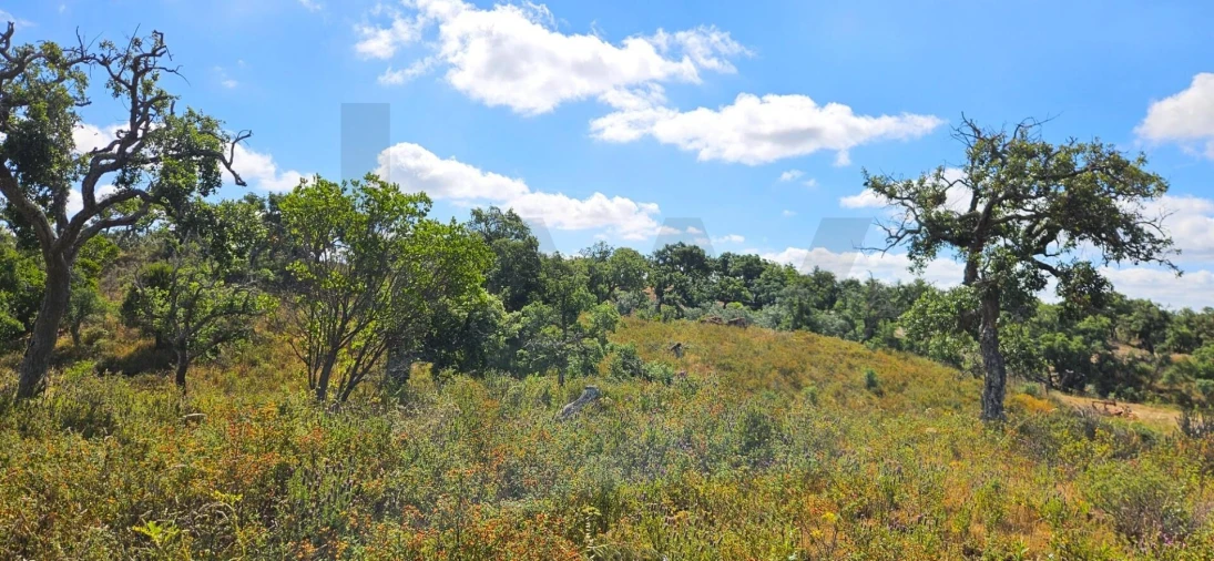 Terreno para Venda em Santiago do Cacém, Santa Cruz e São Bartolomeu da Serra Foto 4