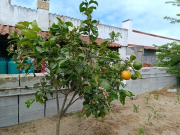 Moradia T4 para Venda em Gafanha da Encarnação