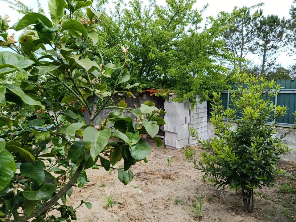 Moradia T4 para Venda em Gafanha da Encarnação Foto 37