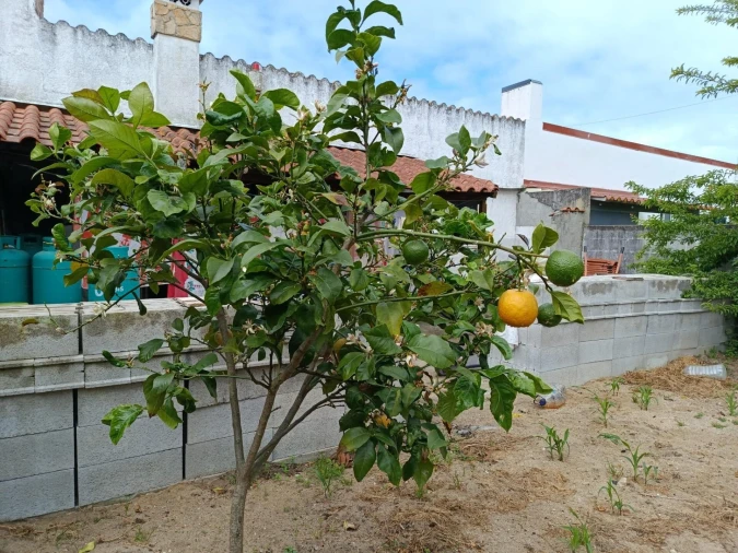Moradia T4 para Venda em Gafanha da Encarnação Foto 38