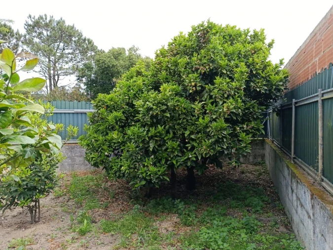 Moradia T4 para Venda em Gafanha da Encarnação Foto 39