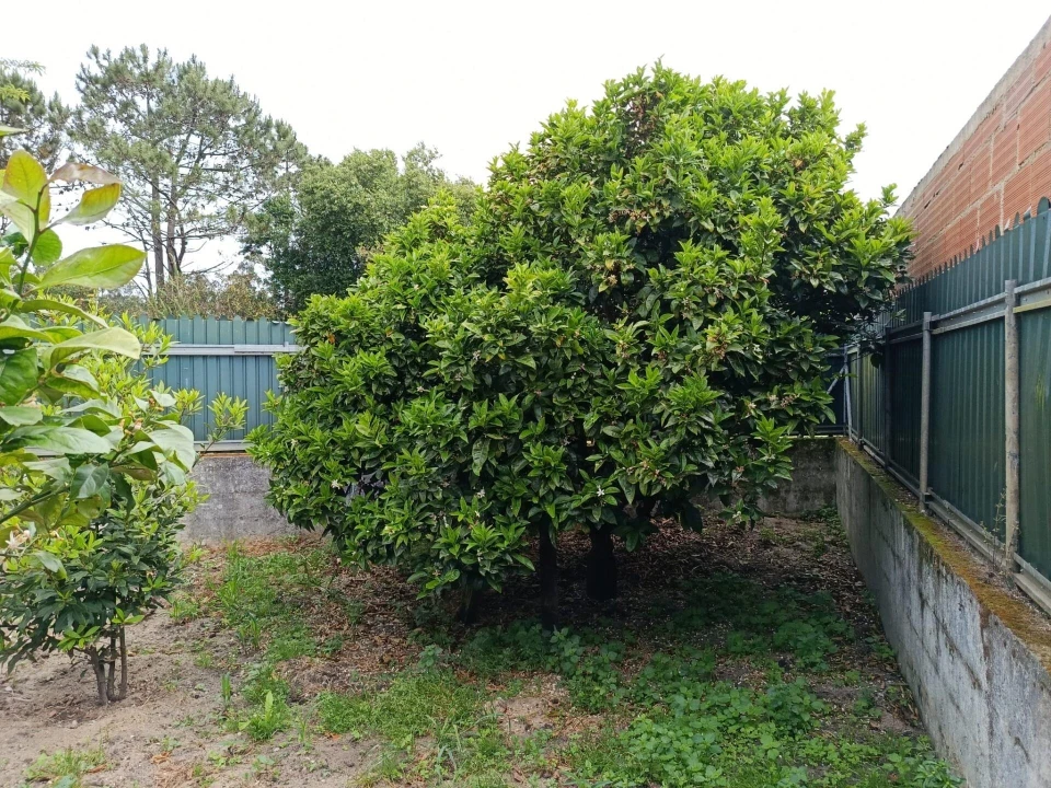 Moradia T4 para Venda em Gafanha da Encarnação Foto 39