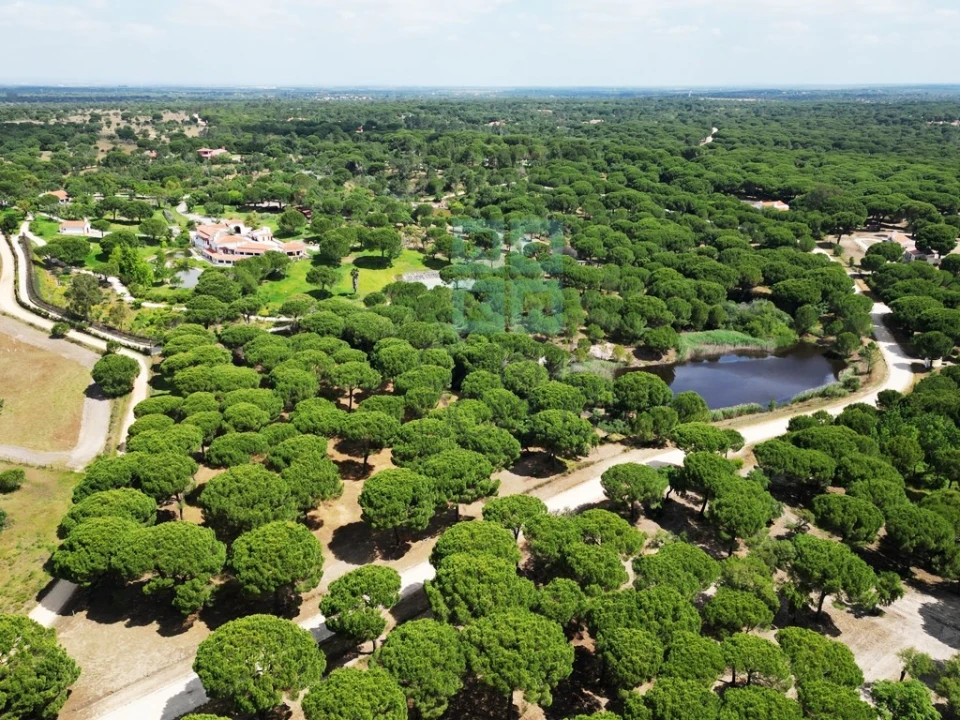 Terreno para Venda em Santo Estêvão Foto 3