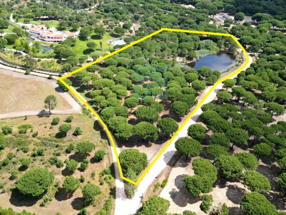 Terreno para Venda em Santo Estêvão Foto 1