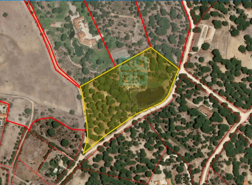 Terreno para Venda em Santo Estêvão Foto 2