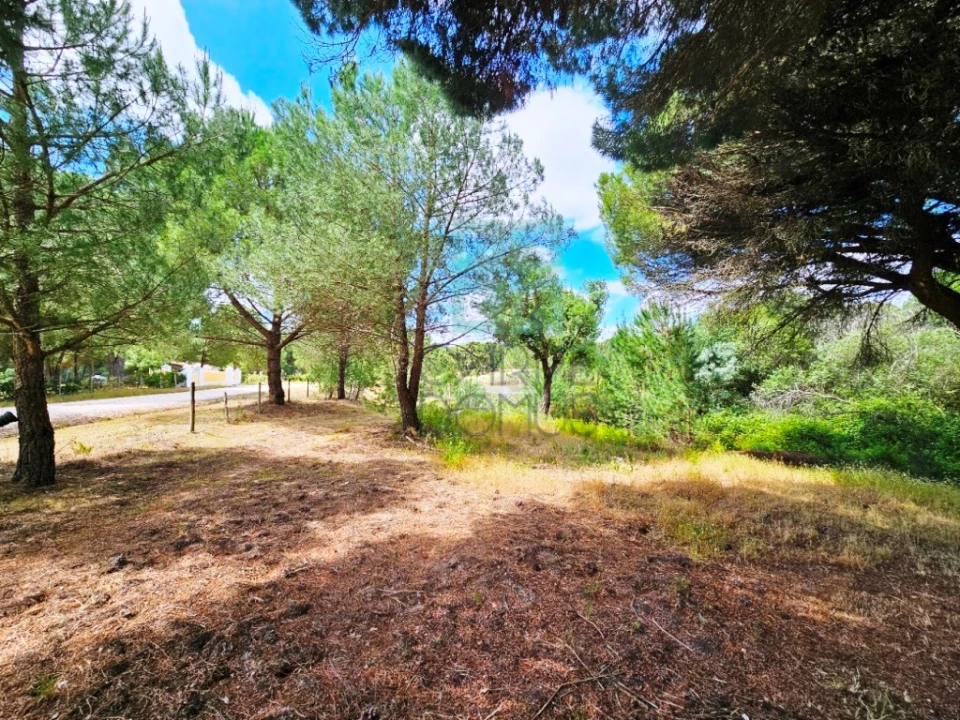 Terreno para Venda em Santo Estêvão Foto 15
