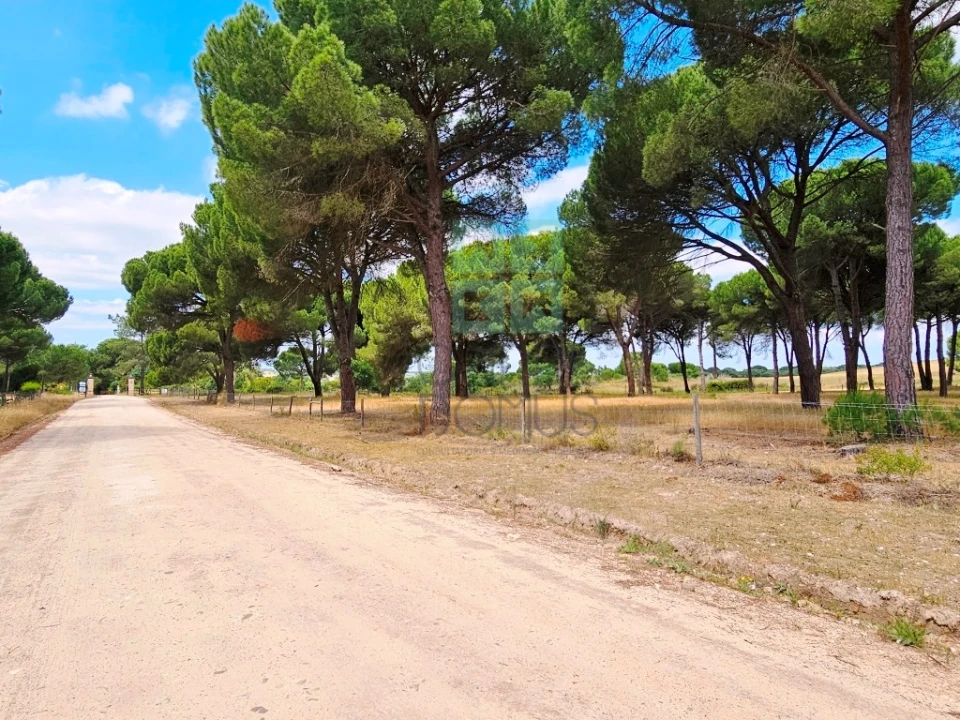 Terreno para Venda em Santo Estêvão Foto 21
