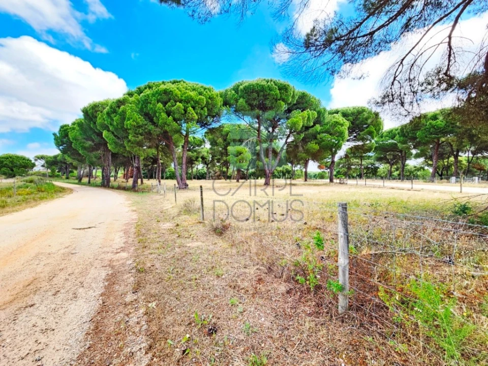 Terreno para Venda em Santo Estêvão Foto 24