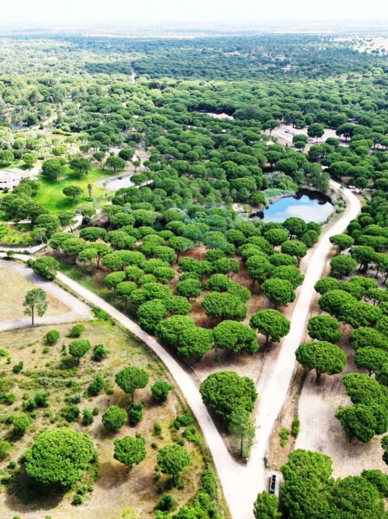 Terreno para Venda em Santo Estêvão Foto 27