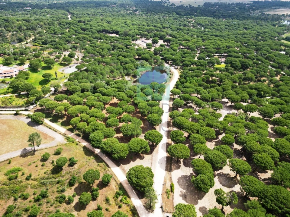 Terreno para Venda em Santo Estêvão Foto 28