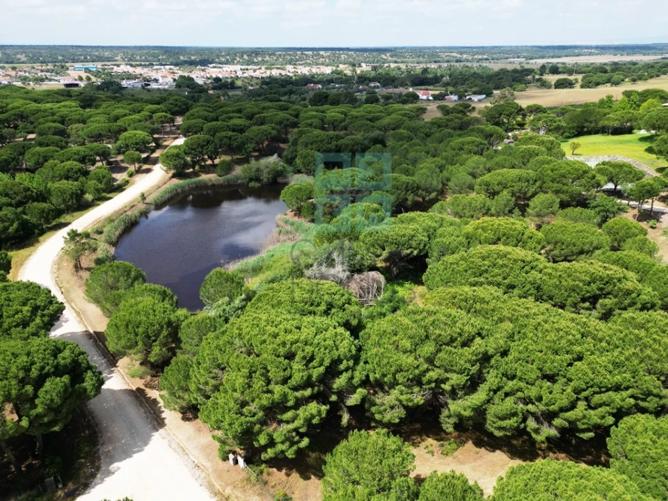 Terreno para Venda em Santo Estêvão Foto 32