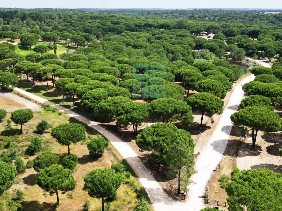 Terreno para Venda em Santo Estêvão Foto 33