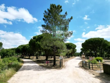 Terreno para Venda em Santo Estêvão