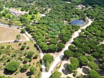 Terreno para Venda em Santo Estêvão