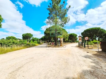 Terreno para Venda em Santo Estêvão
