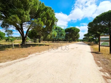 Terreno para Venda em Santo Estêvão