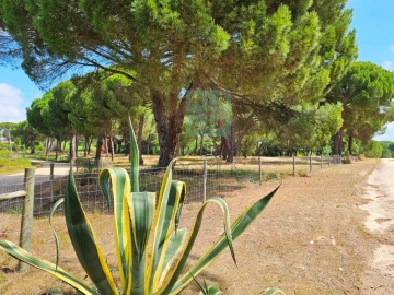 Terreno para Venda em Santo Estêvão