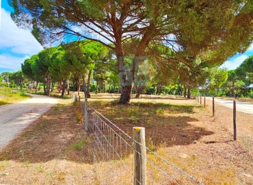 Terreno para Venda em Santo Estêvão