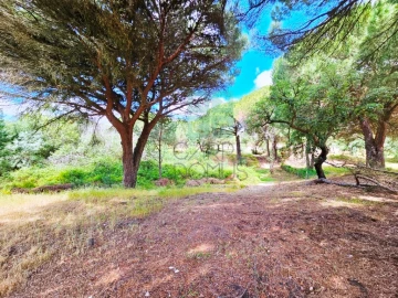 Terreno para Venda em Santo Estêvão